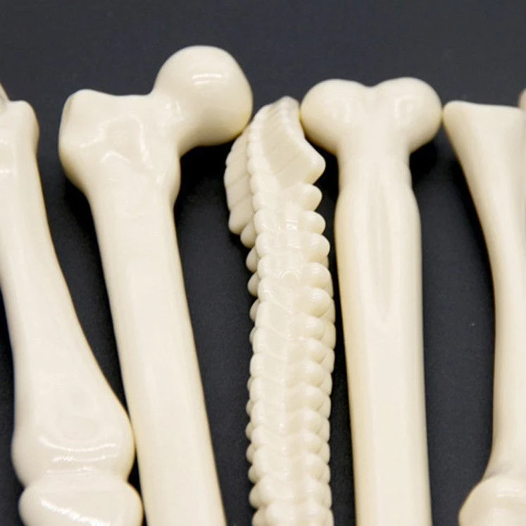 Orthopedic Series Doctors Bone Ballpoint Pen - Image 3